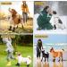 2 Pair Dog Boots for Injures Paws Waterproof Anti-Slip Dog Shoes with Adjustable Reflective Straps Dog Socks Paws Stop Licking Dog Crocs Paw Protector Black - Buy Online on GoSupps.com