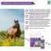 MENFORSAN Flea Shampoo for Horses 5L with Margosa Geraniol and Lavandin Protects Against All Insects - Buy Online on GoSupps.com