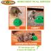 Pop N Play Interactive Motion Cat Toy | Electronic Smart Feather & Mouse Teaser | Cat Mouse Squeak Sound | Auto Shut Off | Best Cat Toy Ever! - Buy Online on GoSupps.com