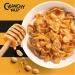 Kelloggs | Crunchy Nut Portion Packs | 40x35g - Buy Online on GoSupps.com
