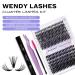 Premium Lash Extensions Kit - DIY Eyelash Extension Set with Glue 12-16mm 30D & 40D D Curl - International Shipping Available - Buy Online on GoSupps.com