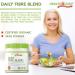 HEALTHOLOGY Daily Fibre Blend | Fibre Powder Supplement | Vegan & Certified Organic Fiber Source 240 gram - Buy Online on GoSupps.com