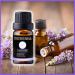 Pure Lavender Oil - Therapeutic Grade Essential Oil for Diffuser Skin Care Hair Growth Aromatherapy & Relaxation - 10mL - Buy Online on GoSupps.com