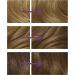 Clairol Nice'n Easy No Ammonia Hair Dye 91 Dark Blonde 3 Count Pack - Ammonia-Free Hair Color - Buy Online on GoSupps.com