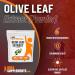 BulkSupplements Olive Leaf Extract Powder - 750mg Antioxidant Herbal Supplement - 667 Servings - Gluten Free - 500g (1.1lb) - Buy Online on GoSupps.com