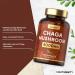 Chaga Mushroom Capsules 8000mg - High Strength Supplement - 90 Powder Capsules - Naturally Sourced by Horbaach - Buy Online on GoSupps.com