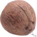 KJKVIVH Natural Coconut Shell Bird Nest House Hut For Pet Parrot Budgies Parakeet Cockatiels Conure Canary Pigeon Cage Rat Gerbil Mice Cage Seed Feeder Toy Nesting Box - Buy Online on GoSupps.com