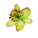 Diawell Orchid Hair Flower Hair Clip Hair Clip Flower Blossom Corsage Hair Accessory 1x Flower Green