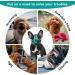 Breathable Dog Muzzle for Short Snouts | Adjustable Anti-Bite Mesh Muzzle for French Bulldogs & XL Breeds - Buy Online on GoSupps.com
