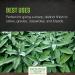 Organic Rubbed Sage Leaf 1 lb - Frontier Co-op | Premium Herb for Cooking - Buy Online on GoSupps.com