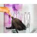 ROYAL DUSTER 14 Black Ostrich Feather Duster - Premium Quality - Buy Online on GoSupps.com