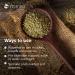 Mimea Fennel Seed Whole | 1kg | Quality Ingredients | Great for Cooking | Herbal Remedy | Natural | Great for Pickling - Buy Online on GoSupps.com