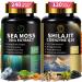Shilajit for Men Sea Moss and Shilajit Bundle All in 1 Supplements with Coenzyme Q10 Black Seed Ashwagandha Taurine Burdock for Energy Endurance Antioxidant & Immune Support 240 Capsules 120 Count (Pack of 2)