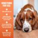 TropiClean Natural Flea & Tick Spray 16oz - Kills & Repels Fleas, Ticks, Larva & Eggs - Made in USA - Buy Online on GoSupps.com