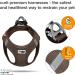 Buy Air-Mesh Brown Vest Harness 2XS - D-Ring Buckle for Pets | International Shipping Available - Buy Online on GoSupps.com