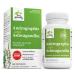 Terry Naturally Andrographis and Ashwagandha - Immune System Support Supplement - Support Energy & Healthy Stress Response - Energy Support Supplement - 60 Capsules (60 Servings)