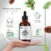 HBNO Organic Fir Balsam Essential Oil 4 oz - USDA Certified Aromatherapy & DIY Oil for Soaps Fragrances & Diffusers - Buy Online on GoSupps.com