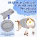 Slowton Dog Recovery Suit - Soft Breathable Anti-Wound Licking Zipper Suit for Male Dogs After Surgery - Comfortable E-Neck Band Gray - Buy Online on GoSupps.com