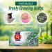 KUKER Thyme Tea - Herbal Tea Bags with Fresh Dried Thyme Herbs Calming Bedtime Tea Thyme Dried Tea for Relaxation Cold Infusion Tea Bags Soothing Flavor Easy Brew - 20 Tea Bags 30g - Buy Online on GoSupps.com