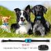 Rechargeable Anti Bark Collar for Dogs | 7 Sensitivity Levels | Vibration & Beep | Small Medium Large Dogs - Buy Online on GoSupps.com