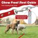 Waterproof Drag Line for Dogs | Chew-Proof Tie-Out Line 3-30m | Durable Training Leash for All Dog Sizes | 5m Red - Buy Online on GoSupps.com