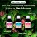HerbalGem - Depuras ve - Detox - Based on Fresh Birch Sap - Enriched with Birch Buds and Blackcurrant - Certified Organic - Buy Online on GoSupps.com