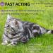 Fipronil Cat Flea & Tick Control - Long-Lasting Treatment for Kittens - 3 Doses - Buy Online on GoSupps.com