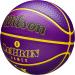 Wilson NBA Player Icon Outdoor Basketball - 29.5 Size 7 - LeBron James Edition - Buy Online on GoSupps.com