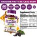 Sakoon Nutrition Elderberry & Black Seed Oil Immune Support Gummies for Kids - 60 ct, with Vitamin C, Zinc - Berry Flavor - Buy Online on GoSupps.com