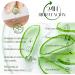  KEFUS Pure Natural Aloe Vera Gel 500ml Immediate absorption and pleasant non-greasy texture Nourishes hydrates refreshes and care - Buy Online on GoSupps.com