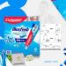 Max Fresh Mint Toothpaste Strips - 5 Tubes 36.5 oz Fights Cavities & Whitens Teeth + Toothpaste Squeezer & No-Mess Caps - Shop Now Internationally - Buy Online on GoSupps.com