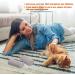 2-Piece Pet Hair Removal Tool | Bimsstein Foot Care & Corneal Remover | Easy Clean Carpet Couch & Furniture - 4 Inches - Buy Online on GoSupps.com