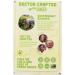 VIVE ORGANIC Ginger Boost Shot 4pk - Organic Energy & Wellness Shots for Immune Support | International Shipping - Buy Online on GoSupps.com