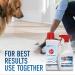 Hoover Free & Clean Deep Cleaning Carpet Shampoo AH30952 - 50oz Hypoallergenic Concentrated Cleaner Solution - Buy Online on GoSupps.com