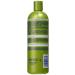 Isoplus Extra Virgin Olive Oil Conditioner 16 oz - Nourishing Hair Care for All Hair Types | Buy Online Internationally - Buy Online on GoSupps.com