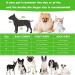 2 Piece Clear Pet Dog Raincoat Hooded Rain Jacket for Small Medium Dogs - Blue/Green S - Buy Online on GoSupps.com