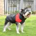 Dog Coat for Small to Large Dogs - Waterproof & Warm Winter Jacket with D-Ring | Red Dog Jacket - Buy Online on GoSupps.com