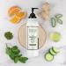 Archipelago Botanicals Morning Mint Lotion - Stimulating Daily Body Lotion (18 oz) | Paraben, Phthalate, and GMO Free - Buy Online on GoSupps.com