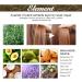 Veganic Natural Hair Growth Oil - Carvenchi Organic Rosemary Oil for Hair Growth Vegan Hair Oil for Dry and Damaged Hair Promotes Growth and Thickness - Buy Online on GoSupps.com