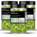 TheJar.Company - Swedish Candy - 23 - Pear & Vanilla Milkshake