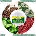 Buy Anti-Aging Eye Cream for Dark Circles & Wrinkles Moisturizing 30g Eye Care Solution - Buy Online on GoSupps.com