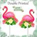 Tropical Flamingo Cupcake Toppers - Buy Online on GoSupps.com
