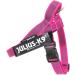 Julius-K9 Belt Harness S/Mini - Color & Gray Pink-Grey | Best International Shipping - Buy Online on GoSupps.com
