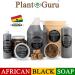 16 oz African Black Soap Liquid from Ghana | 100% Raw Pure Natural | Acne Treatment, Eczema & Psoriasis Relief | For Dry Skin, Scars & Dark Spots | Ideal for Pimples, Blackheads, Face & Body Wash - Buy Online on GoSupps.com