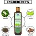 Blessfull Healing Organic Amla & Bhringraj Natural Hair Conditioner 100 ml (Packing May Vary) 100 ml (Pack of 1) - Buy Online on GoSupps.com