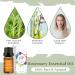 Buy 100% Pure Organic Rosemary Essential Oil for Diffuser Massage & Soap Making - International Shipping Available - Buy Online on GoSupps.com