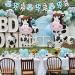 Cow Baby Shower Decorations for Boy Holy Cow It's a Boy Baby Shower Decorations Blue Cow Garland Welcome Baby Cake Toppers for Cow Theme Baby Shower Decor - Buy Online on GoSupps.com