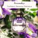 Tocca Women's Perfume Maya Fragrance 0.68 oz (20 ml) - Warm Floral Wild Iris Blackcurrant Patchouli Heart - Hand-Finished Bottle 0.68 Fl Oz (Pack of 1) - Buy Online on GoSupps.com