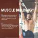 Buy Type Zero Grass Fed Whey Protein Concentrate Powder (Chocolate 2LBS) - Gluten Free & Non-GMO - International Shipping Available - Buy Online on GoSupps.com