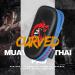 Flexzion Blue Curved Muay Thai Kick Pad for MMA, Karate, Taekwondo - Adjustable Forearm Strap - Buy Online on GoSupps.com